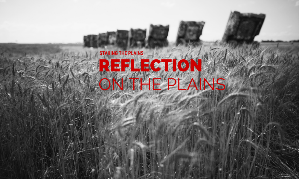 Reflection on the Plains:  Writing to Write and the Consumer Wins